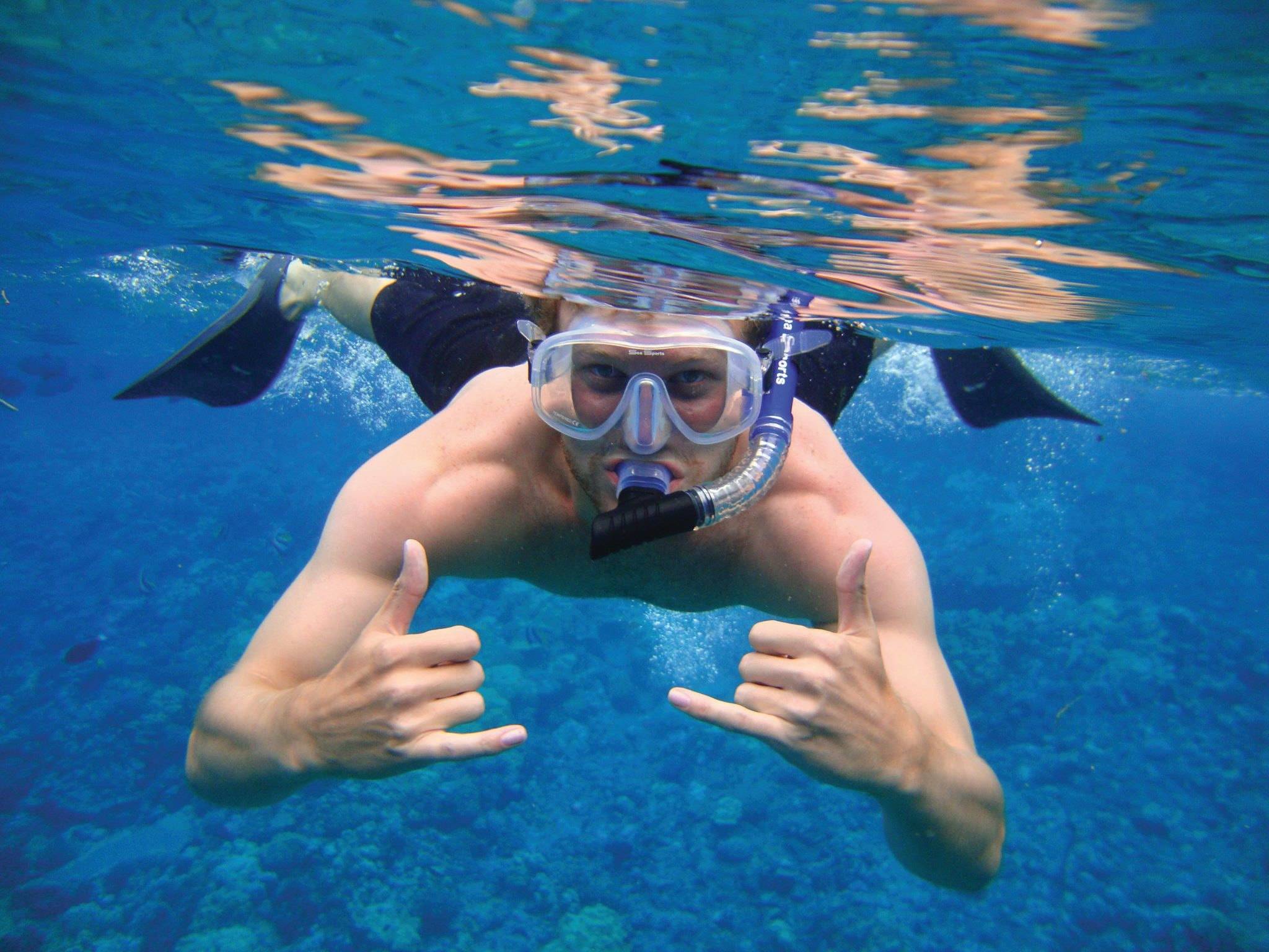 Miami Snorkeling & Diving Tours π¬ Private Yacht Trips 1 %Miami Yacht Rentals%