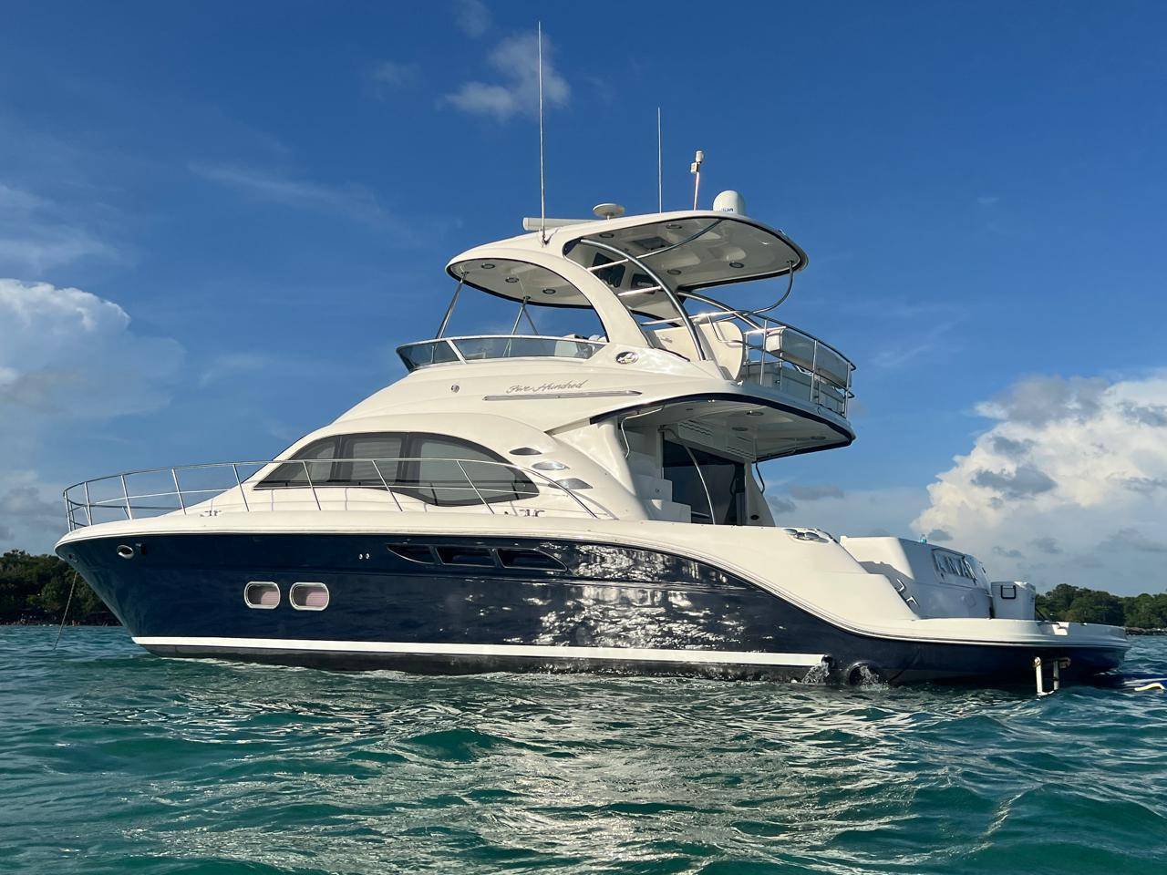 Miami Fishing Deals | Specials & Discounted Trips By Feeling Yachty 11 55ft Sea Ray Bridge
