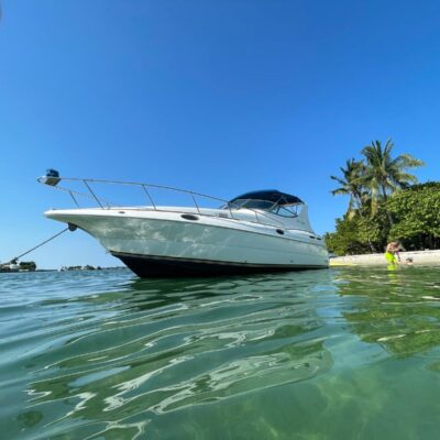 %Miami Yacht Rentals%